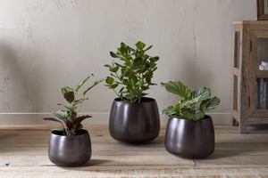 nkuku Maliki Plant Pot | Vases & Planters | Small | Aged Bronze