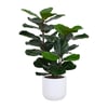 3' Faux Potted Fiddle Leaf Fig Tree