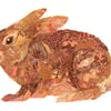 Burrowing BunnyV
