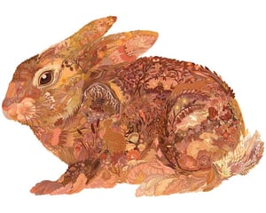 Burrowing BunnyV