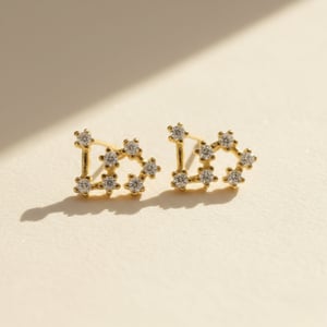 Leo Star Sign Constellation Astrology Tiny Zodiac Earrings