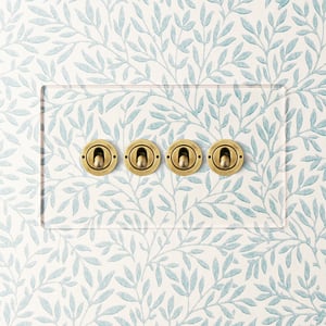 Lucian perspex four gang 2-way toggle switch in clear perspex and aged brass