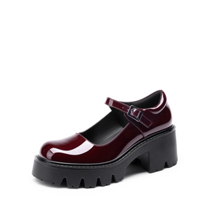 DREAM PAIRS Chunky Platform Mary Jane Pumps