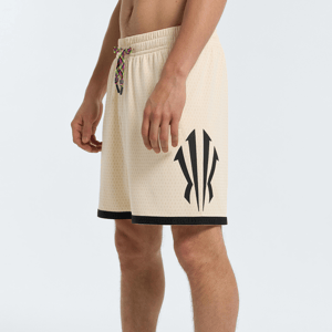 ANTA KAI Logo Game Shorts - Gray / 4XL