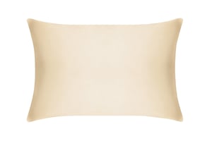 Champagne Pure Silk Pillowcase - UK Standard | US Queen / Without