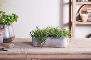 nkuku Japos Outdoor Planter Tray | Vases & Planters | One Size | Aged Zinc