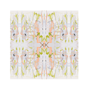 Tell Me Why Sorbet Fabric