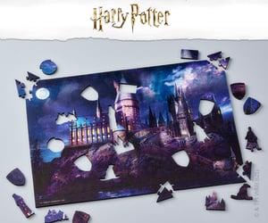 Hogwarts in the Moonlight_W