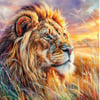 Savanna Lion_RS