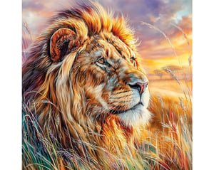 Savanna Lion_RS