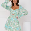 Dewdrop Long Sleeve Mini Dress Green