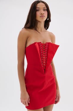 AKIRA Chauntelle Lace Up Mini Dress | Size 2X