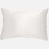 QE Home 100% Mulberry Silk Pillowcase in Snow, White, King