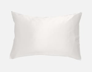 QE Home 100% Mulberry Silk Pillowcase in Snow, White, King