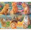 Kittens Reflection