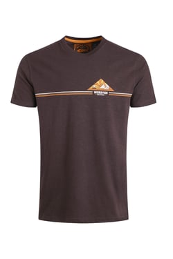 Weird Fish Pyramid Vista Chest Stripe Graphic T-Shirt Chocolate Size 2XL