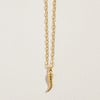 Horn Pendant