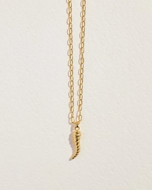 Horn Pendant