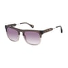 Robert Graham Sullivan 56 Sunglasses