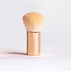 Deluxe Buffer Brush