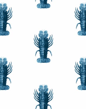 Jack The Crustacean' Wallpaper by Wallshoppe - Blue - Traditional / 27 in. x 27 ft.