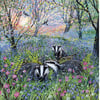 Bluebell Badgers