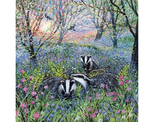 Bluebell Badgers