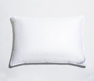 Down Pillow - Standard / Firm