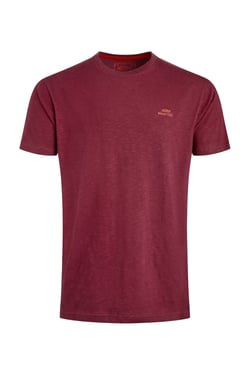 Weird Fish Fished Branded T-Shirt Antique Cherry Size XL