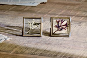 nkuku Tiny Danta Frame Set Of 2 | Decorative Accessories | Antique Brass