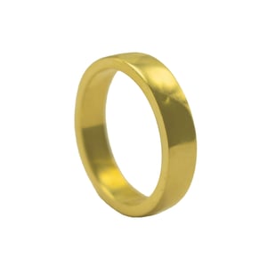 Mara Round Ring - 8.5 / 24K Plated Gold