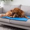 QE Home Cooling Pet Pad, Blue, Large