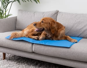 QE Home Cooling Pet Pad, Blue, Small