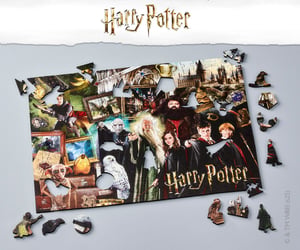 The Wizarding World_W