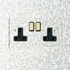 Lucian perspex double socket in clear perspex with black inserts and aged brass switch