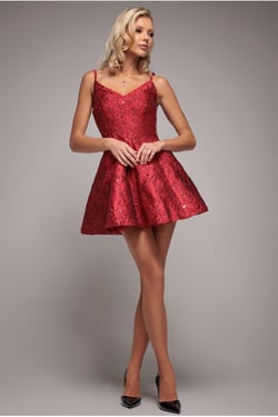 Goddiva Jacquard Sleeveless A-line Mini Dress - Red