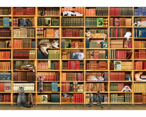 Best Cat Stories