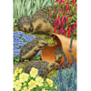 Hedgehogs