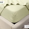QE Home 500TC Eucalyptus Luxe TENCEL™ Lyocell Sheet Set Fitted Sheet in Springhill, Green, Queen