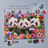 Happy Pandas_T