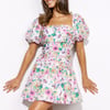 Friends That Dance Mini Dress Multi