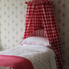 Children's Red Canopy