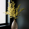 Faux Silver Wattle Branches