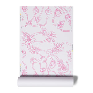 Daisy Pop Pink Wallpaper