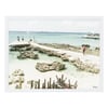 Isle De Soleil, Sun Bleached Art Print