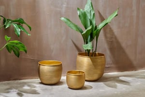 nkuku Tembesi Etched Planter | Vases & Planters | Medium | Antique Brass