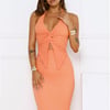 Cloudscape Halter Top Orange