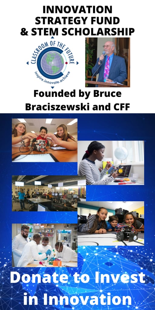 Innovation Strategy Fund