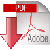 pdf-download-icon