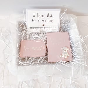 Teddy Baby Passport & Luggage Tag Pink Letterbox Gift Set